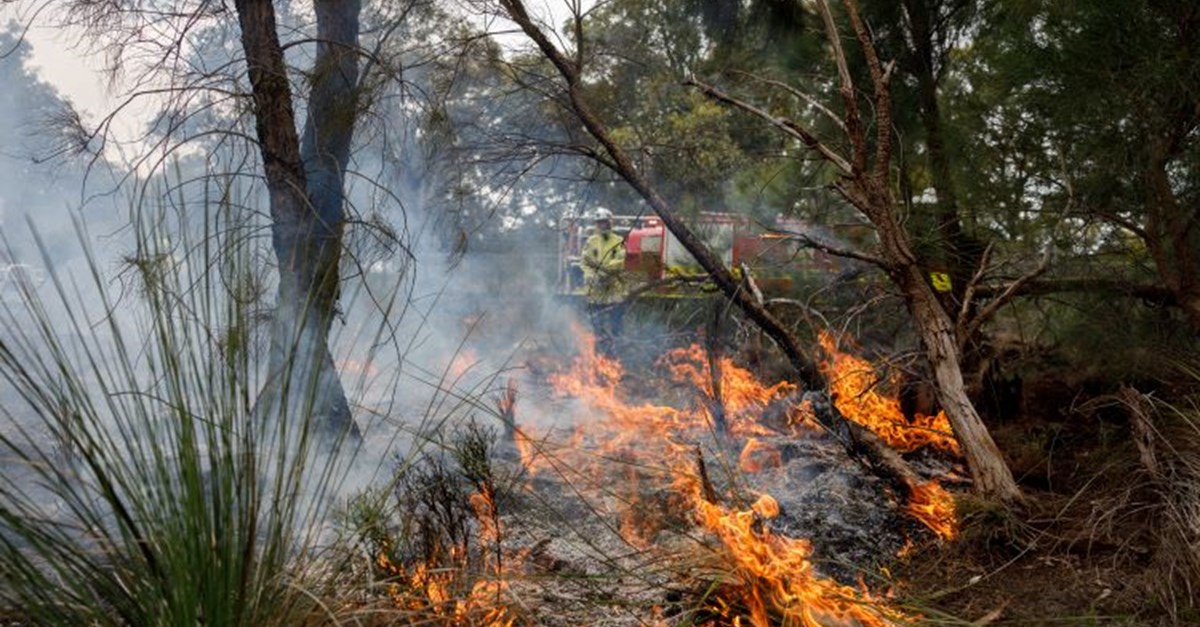Bushfires Wa Risks Wins for bushfire mitigation and pest eradication | DFES