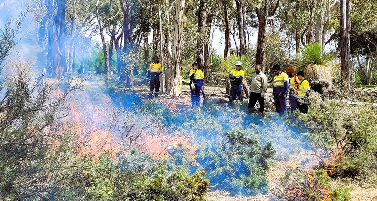 The BCoE Cultural Fire Team with Danju Rangers and Wespine Industries working together on Country to enable 2-way learning. (Photo: David Windsor, DFES).