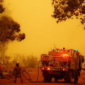 Last summer 1,751 bushfires were reported across the State, burning more than 1.2 million hectares of land.