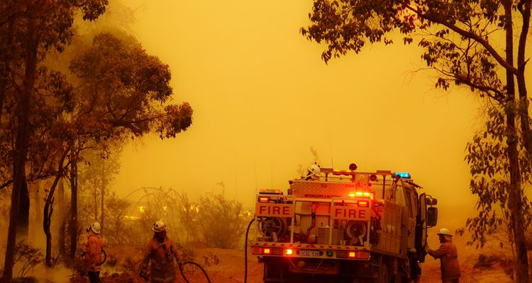 Last summer 1,751 bushfires were reported across the State, burning more than 1.2 million hectares of land.