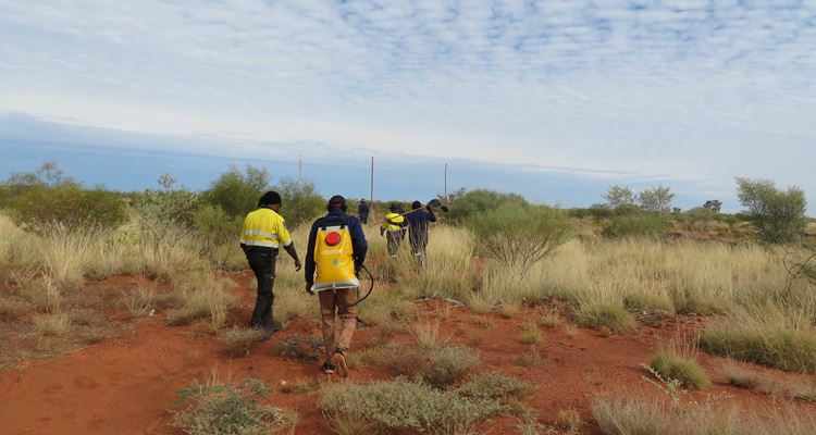 BCoE Staff and IDA trainers conducting pilot course in Yagga-Yagga with Traditional Owners and First Nations Ranger Groups