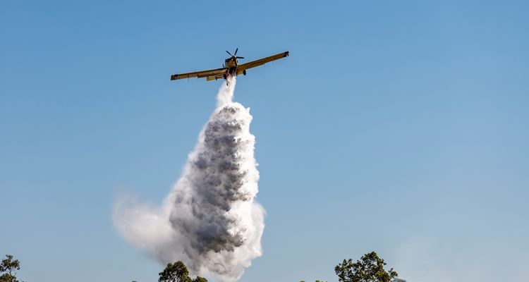 The waterbombers can cruise at a speed of 280km/h, can drop up to 3150 litres each and need just minutes to refuel and reload