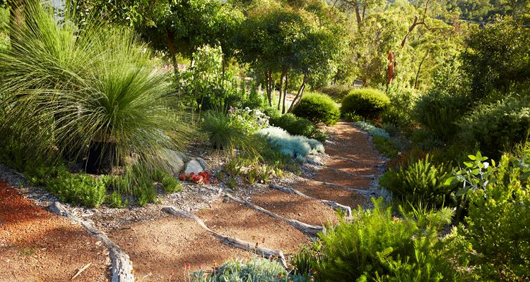Firewise Garden