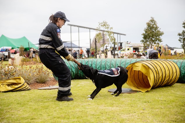 Urban and Search and Rescue Canine demonstration